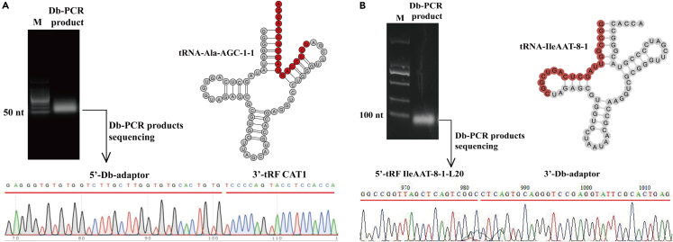Figure 4