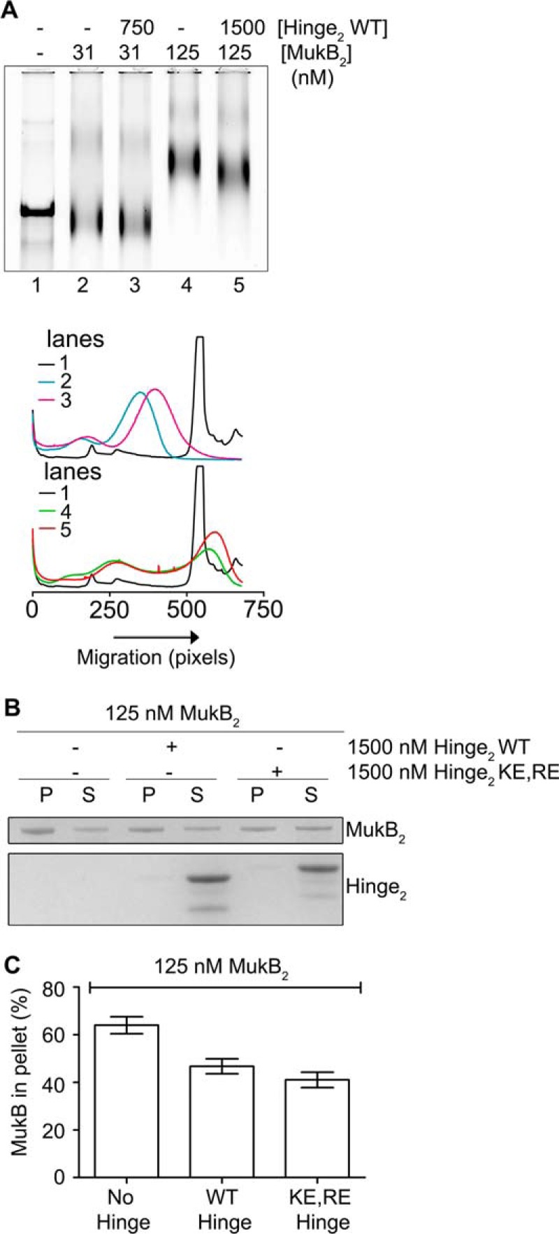 Figure 11.