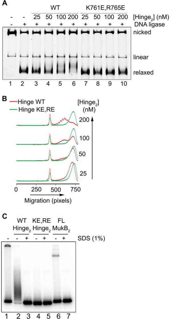 Figure 9.