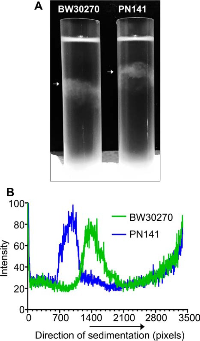 Figure 13.