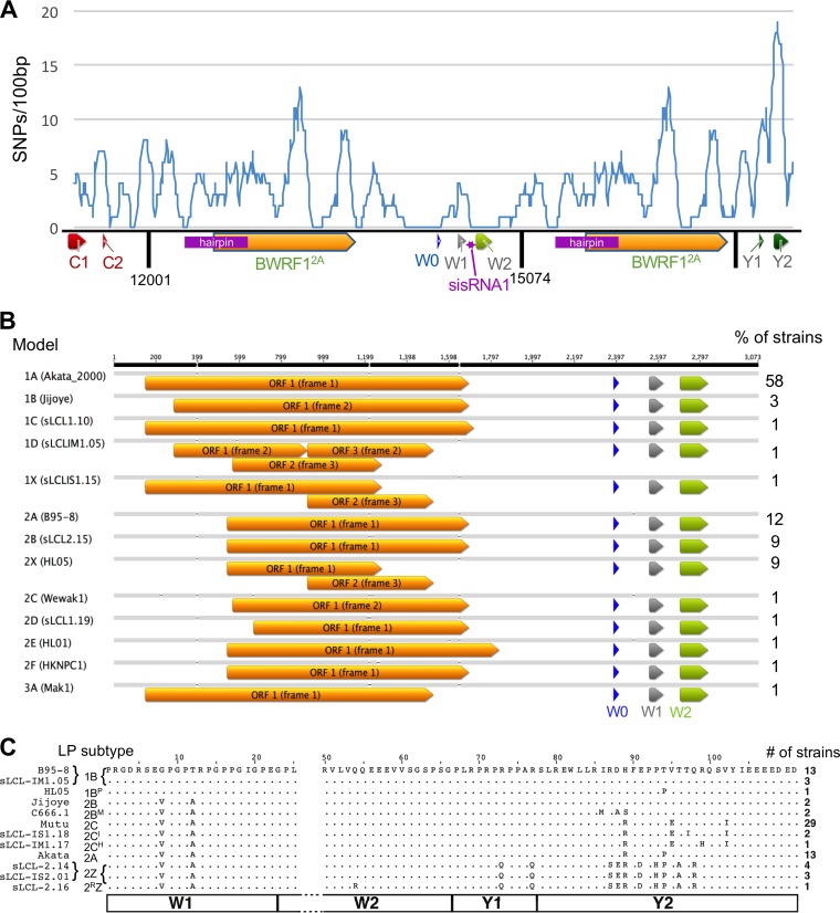 FIG 3