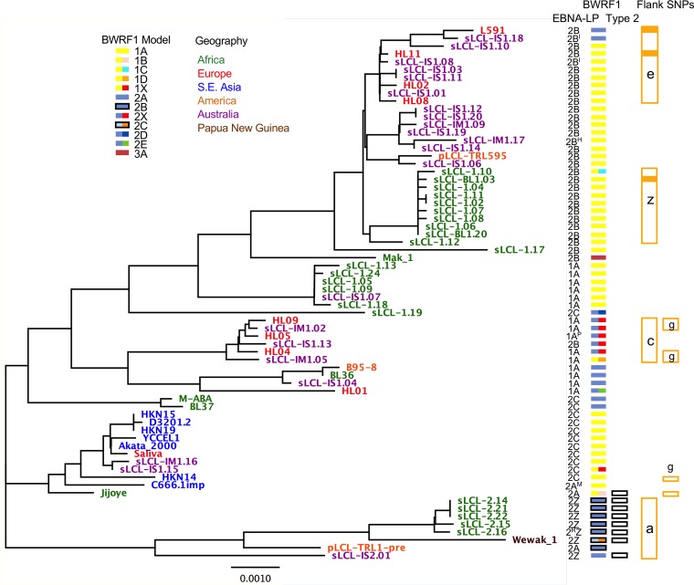 FIG 4