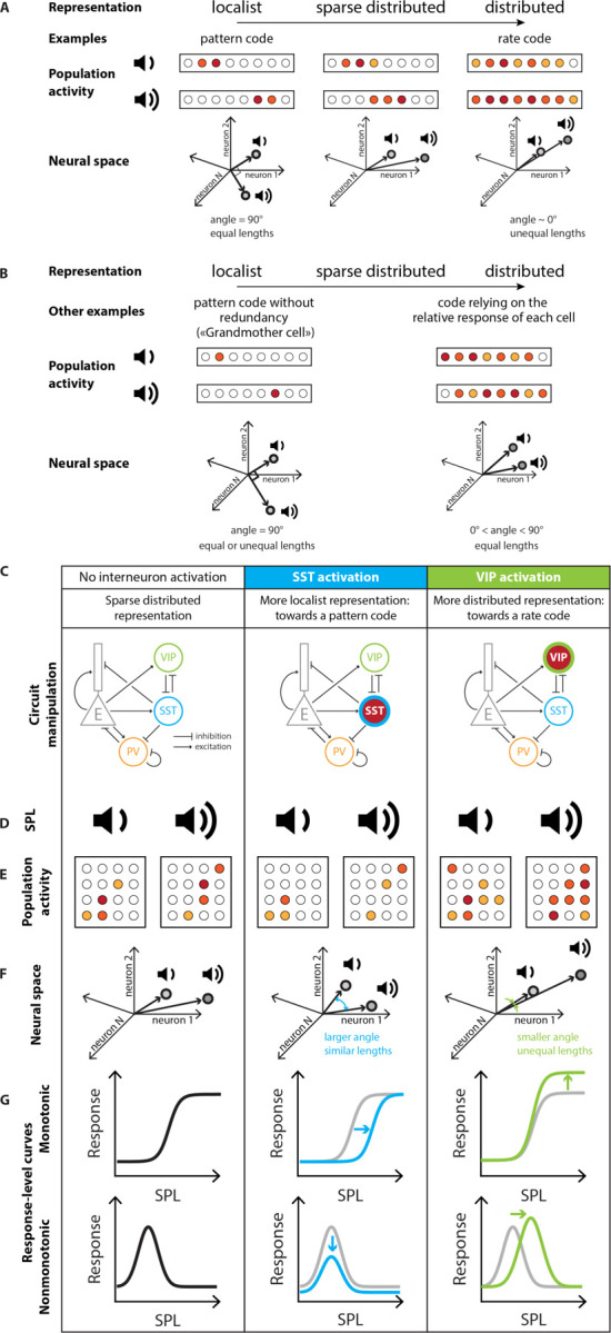 FIGURE 7: