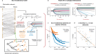 Eco-evolutionary model and critical competition