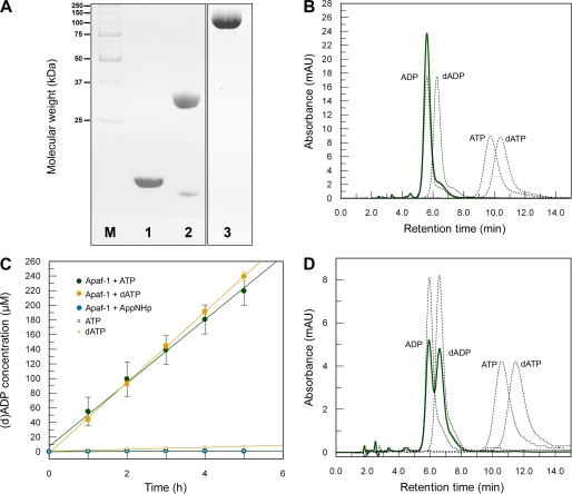 FIGURE 1.