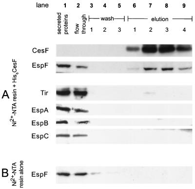 FIG. 5.