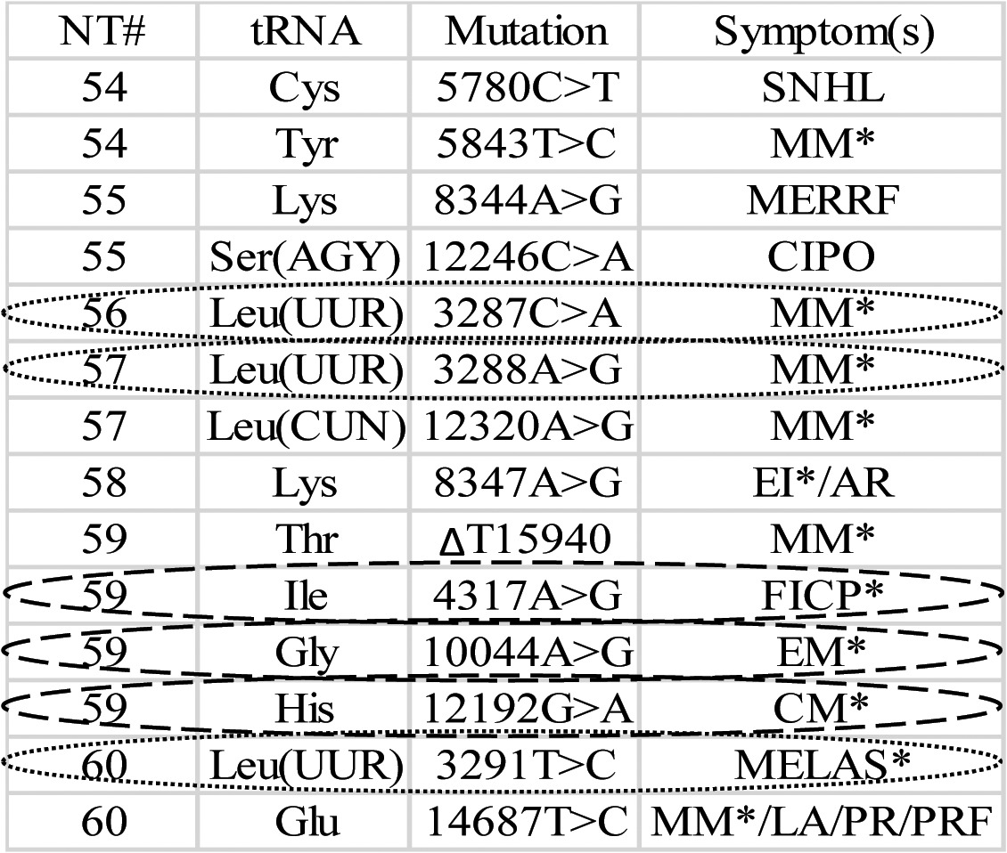 graphic file with name rna-9-283-t1.jpg