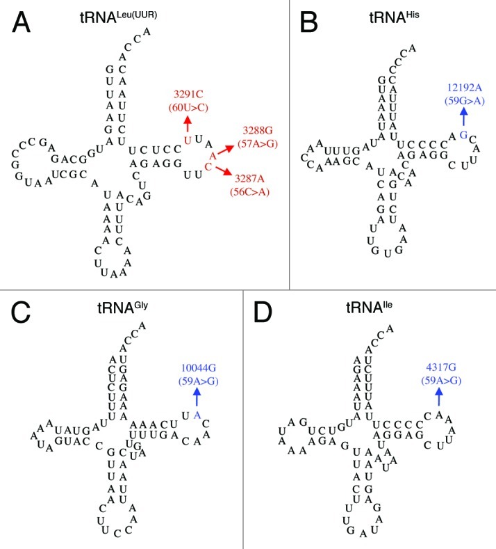 graphic file with name rna-9-283-g2.jpg