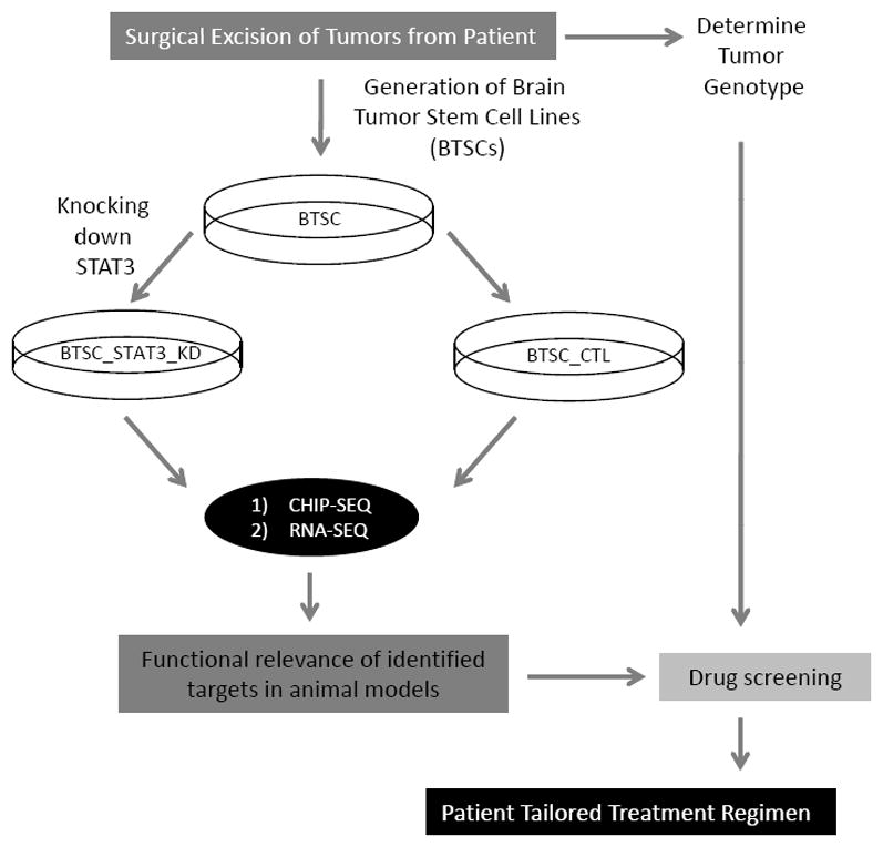 Fig. (2)