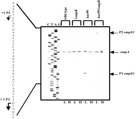 FIG. 6.