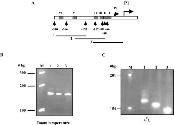 FIG. 8.