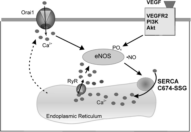 FIG. 7.