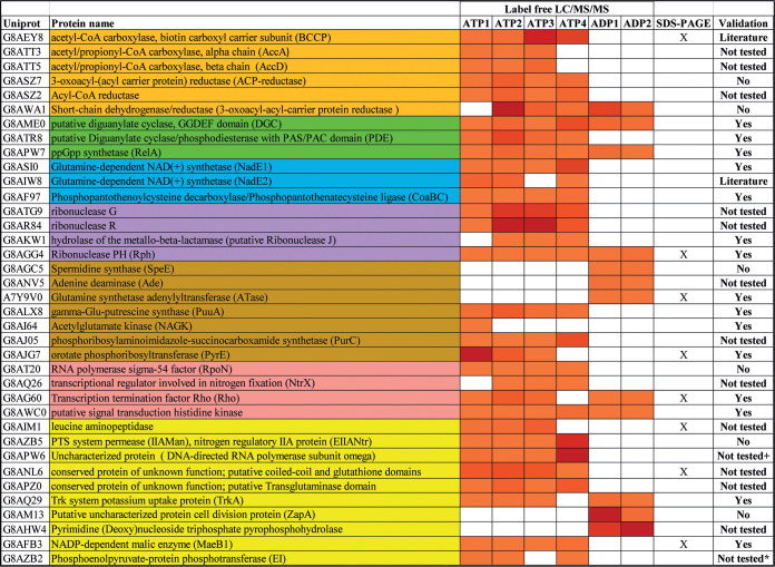 graphic file with name mSystems.00817-20-t0001.jpg