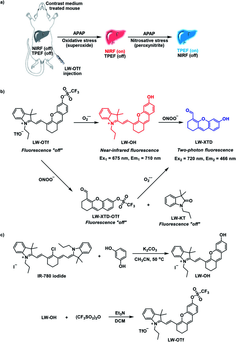 Scheme 1