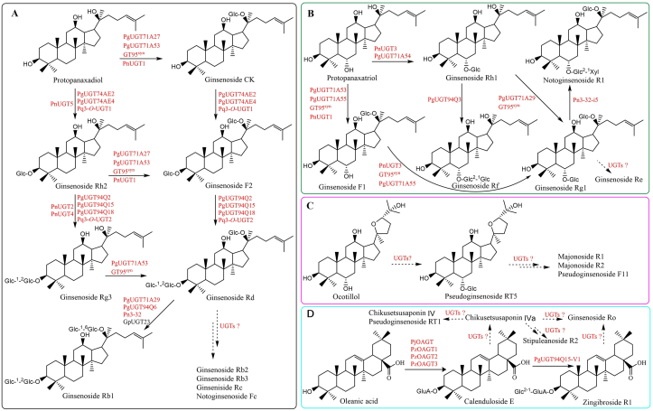 Figure 5