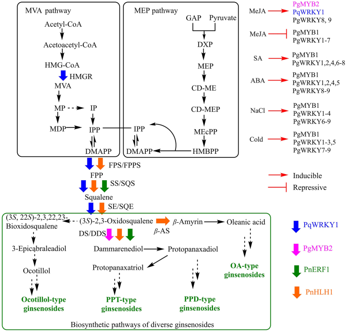 Figure 6