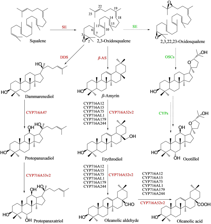 Figure 3