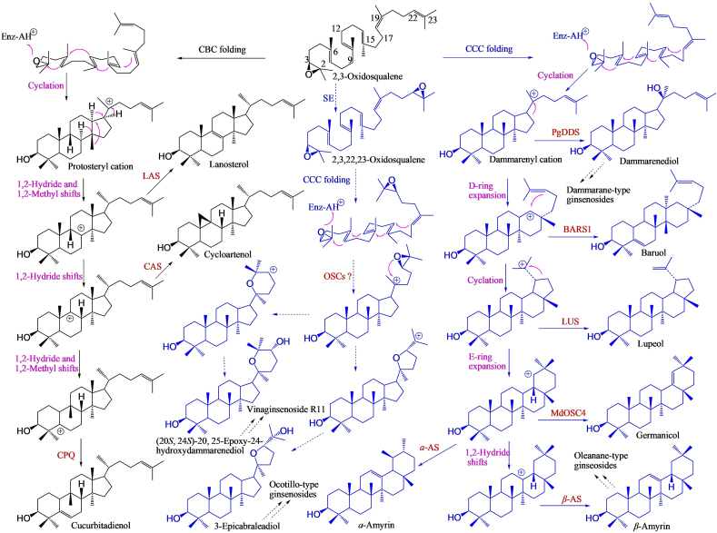 Figure 4