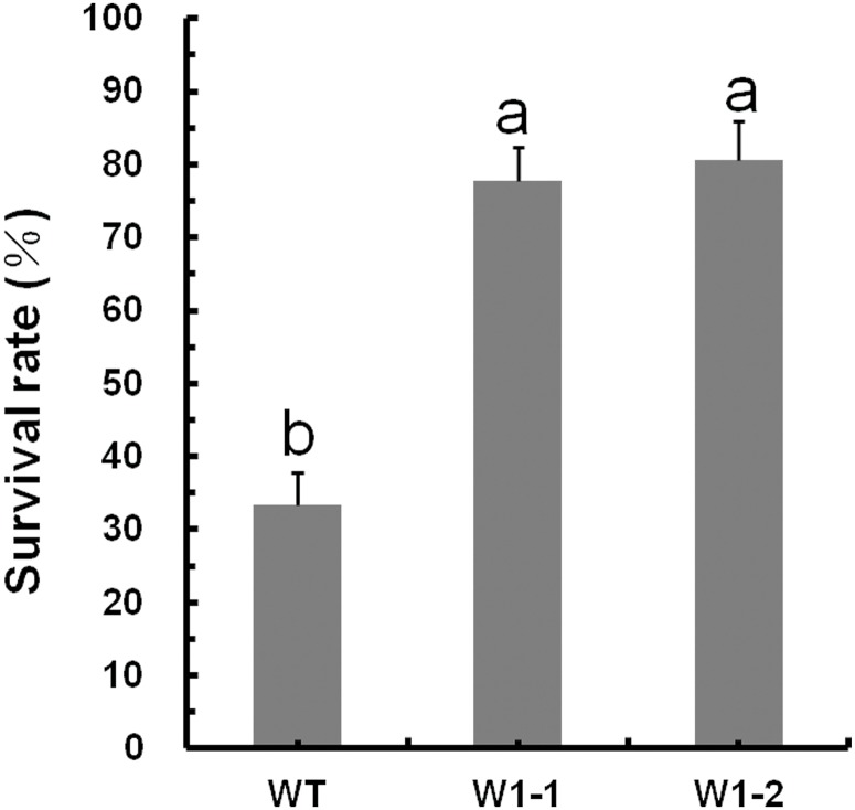 Fig 5