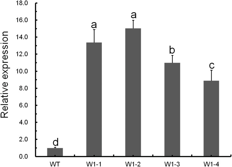 Fig 3