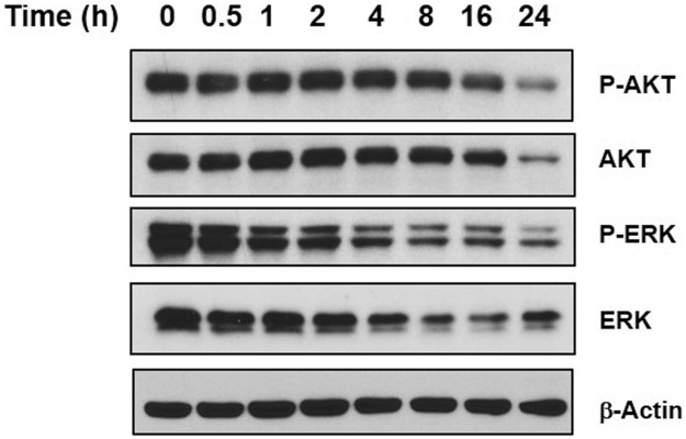 Fig 5