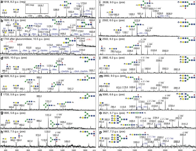 Fig. 6