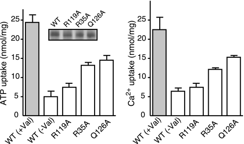 FIGURE 7.