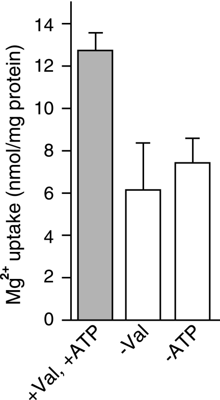 FIGURE 1.