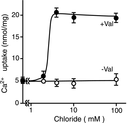 FIGURE 4.