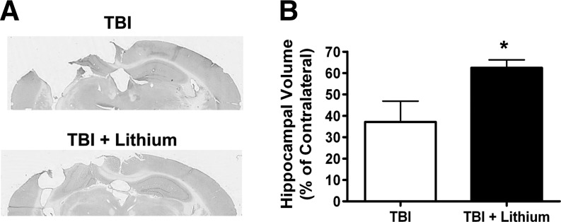 FIG. 6.