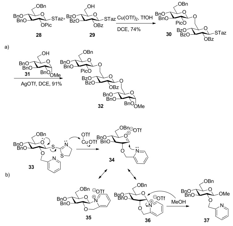 Scheme 5