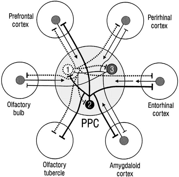 Fig. 8.