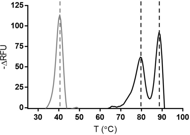 Figure 2—figure supplement 1.