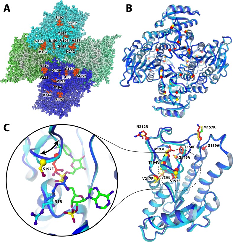 Figure 4.