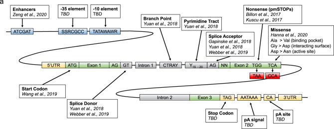 Fig. 7