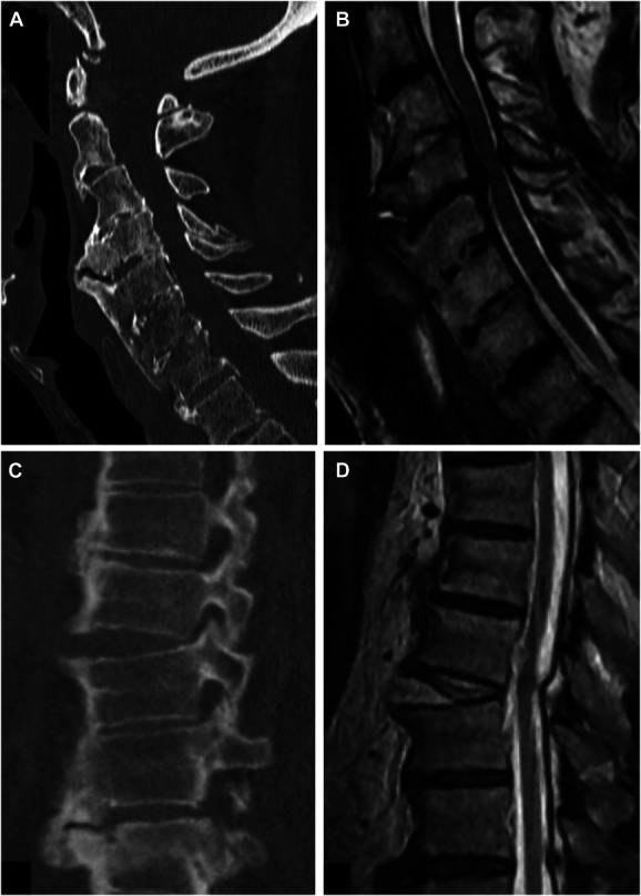 FIGURE 1.