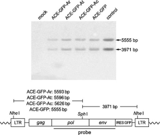 FIG. 5.