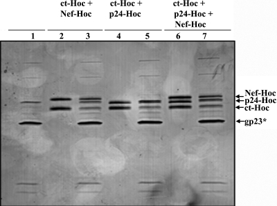 FIG. 6.