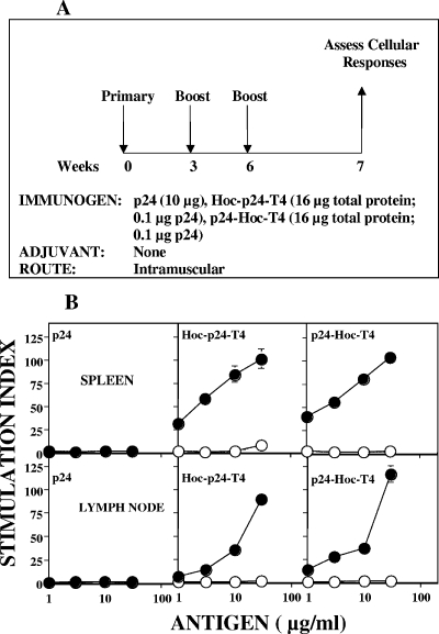 FIG. 8.