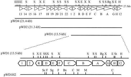 FIG. 1.