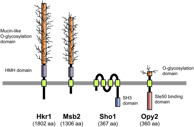 Figure 5 