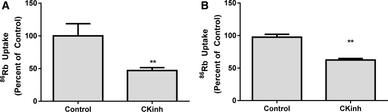 Fig. 9.