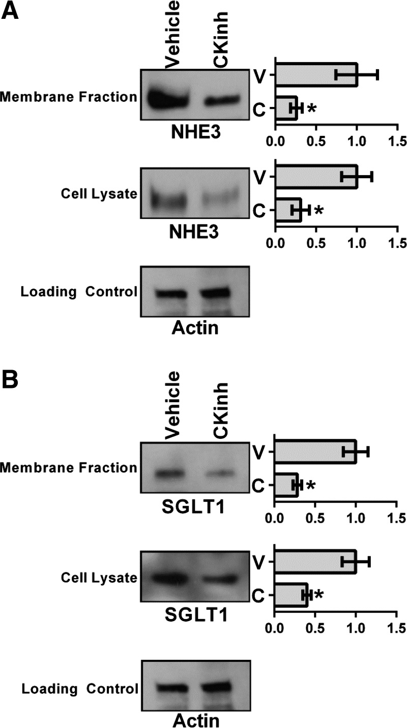 Fig. 8.