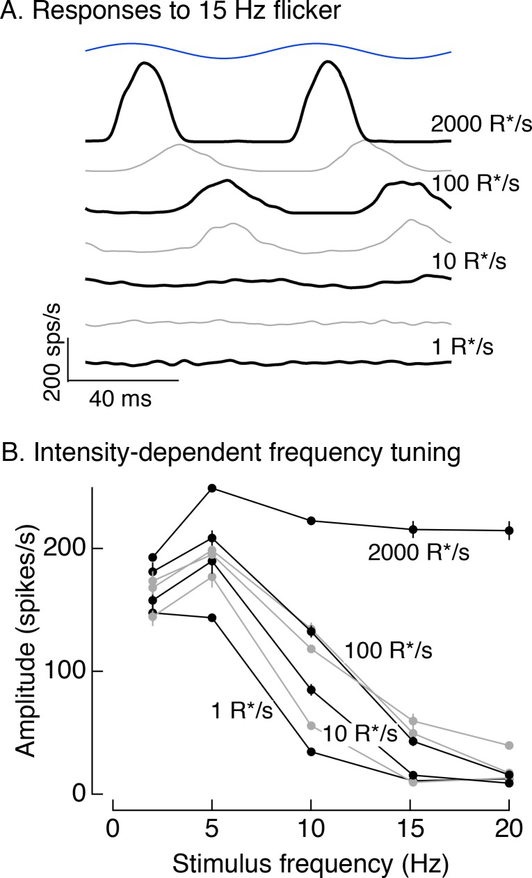 Figure 5—figure supplement 1.