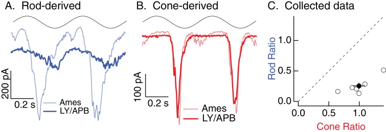 Figure 6—figure supplement 1.