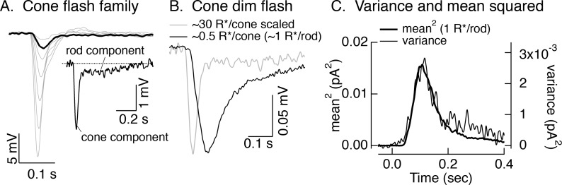 Figure 3—figure supplement 2.