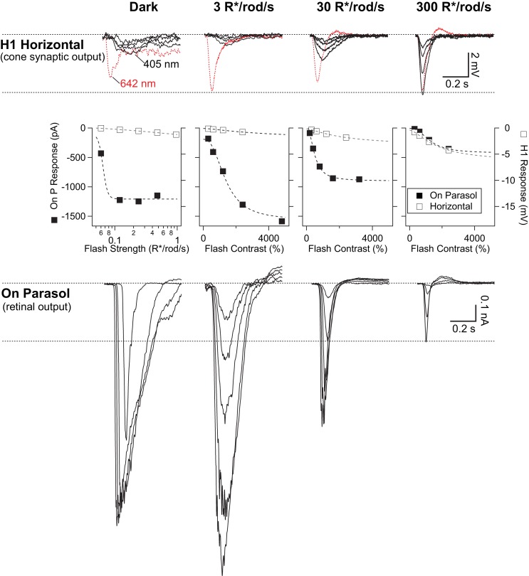 Figure 3—figure supplement 3.