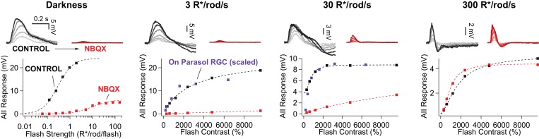 Figure 3—figure supplement 1.