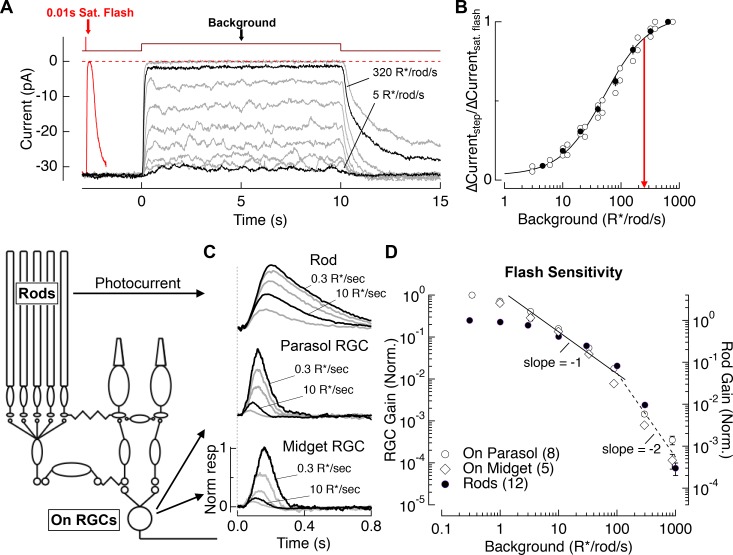 Figure 2.