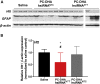 Figure 5